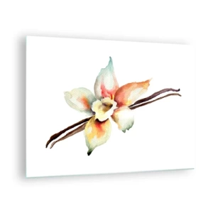 Quadro su vetro - Illustrazione ad acquerello di un fiore di vaniglia su sfondo bianco - 70x50cm - Dolcezza versata con la vernice - Decorazione murale moderna per soggiorno e camera da letto ARTTOR