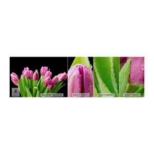 Campione di Fotomurale Premium Canvas - Gioia lilla della primavera - Fiori, Tulipani, Mazzo di fiori - 100x30 cm