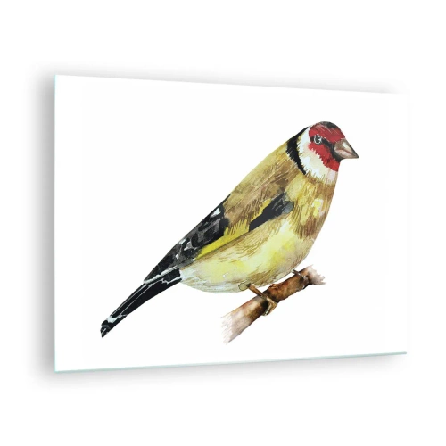 Quadro su vetro - Uccello acquerello su un ramo dai colori delicati - 70x50cm - Ritratto di uccello - Decorazione murale moderna per soggiorno e camera da letto ARTTOR