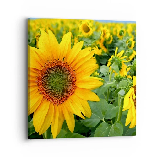 Quadro su tela - Stampe su Tela - Centinaia di soli ardono - 30x30 cm