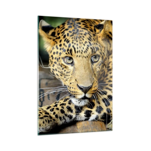 Quadro su vetro - Leopardo appoggiato su una superficie di legno - 50x70cm - Non temere, avvicinati - Decorazione murale moderna per soggiorno e camera da letto ARTTOR