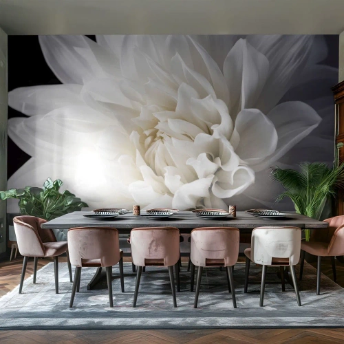 Fotomurali Premium Canvas - Il mattino della sposa - Fiore, Dalia, Natura - 200x140 cm