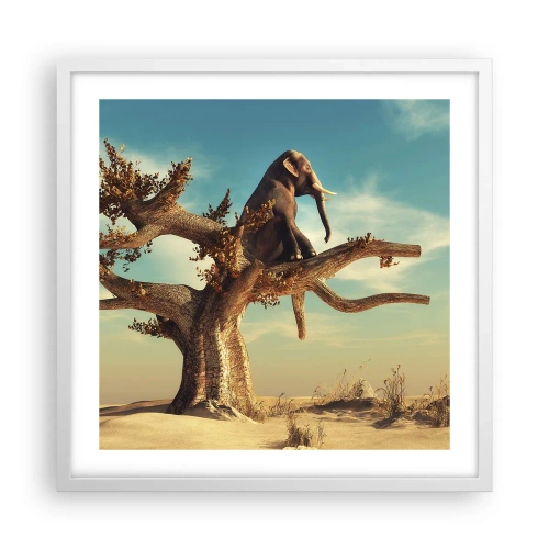 Poster in cornice bianca - Nuovo punto di vista - 50x50 cm