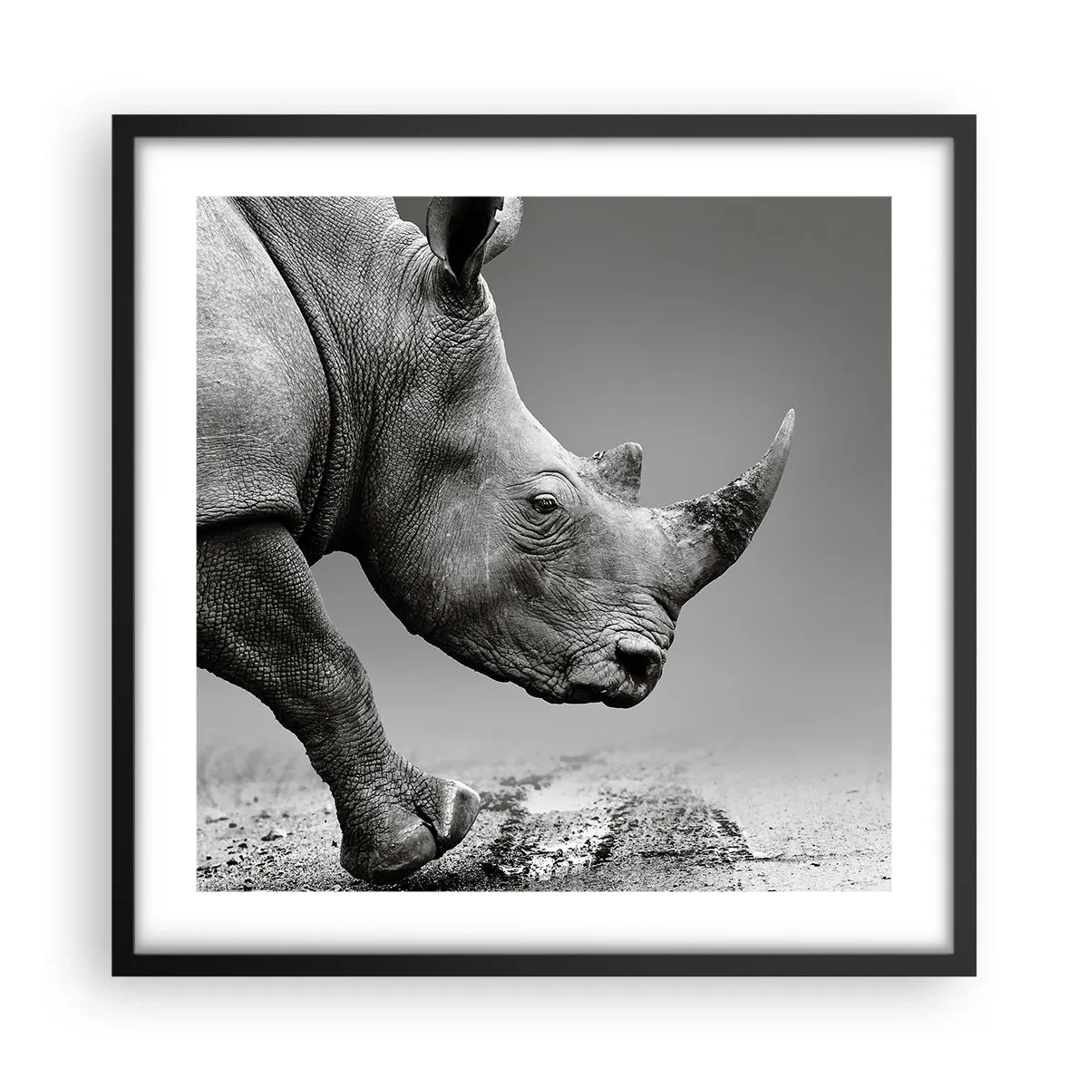 Poster in cornice nera - Forza irrefrenabile - 50x50 cm