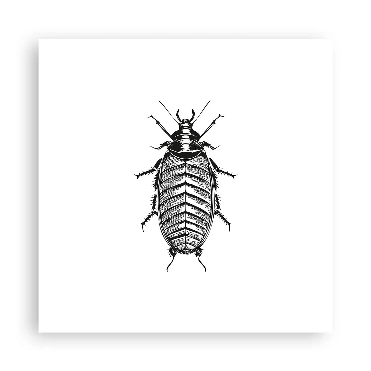 Poster - Che esemplare! - 40x40 cm