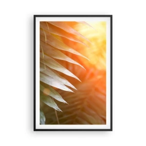 Poster in cornice nera - L'alba nella giungla - 61x91 cm