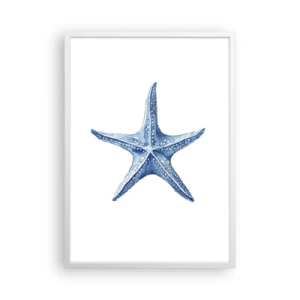 Poster in cornice bianca - Stella marina - 50x70 cm