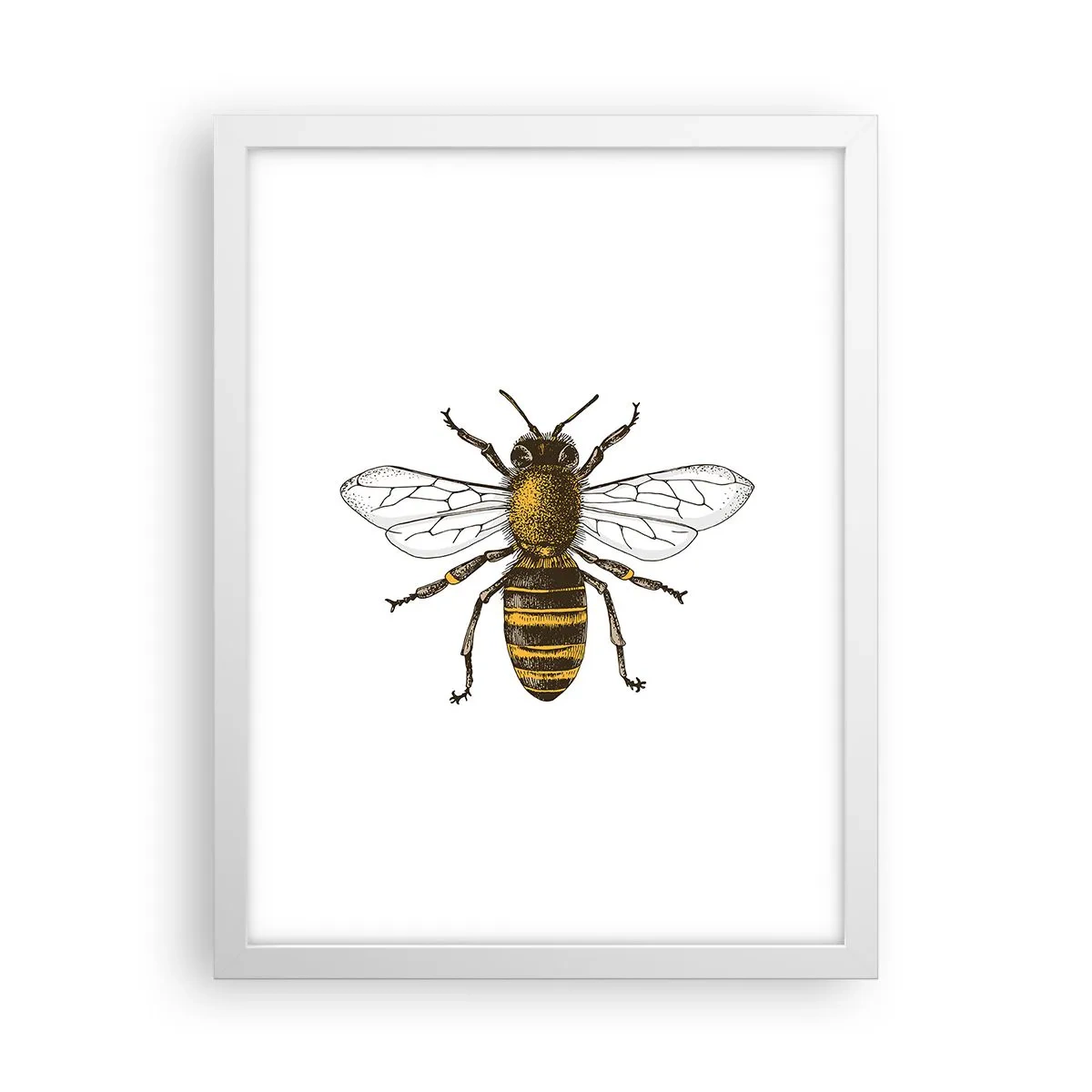 Poster in cornice bianca - Bella e buona - 30x40 cm