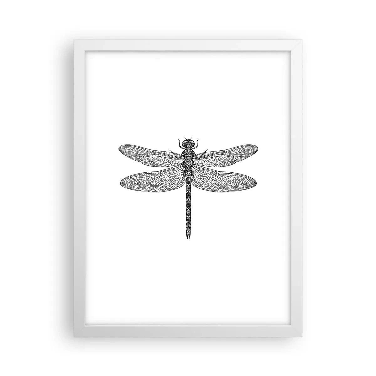 Poster in cornice bianca - La precisione della natura - 30x40 cm