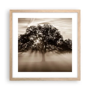 Poster in cornice rovere chiaro - L'albero delle sole buone notizie - 40x40 cm