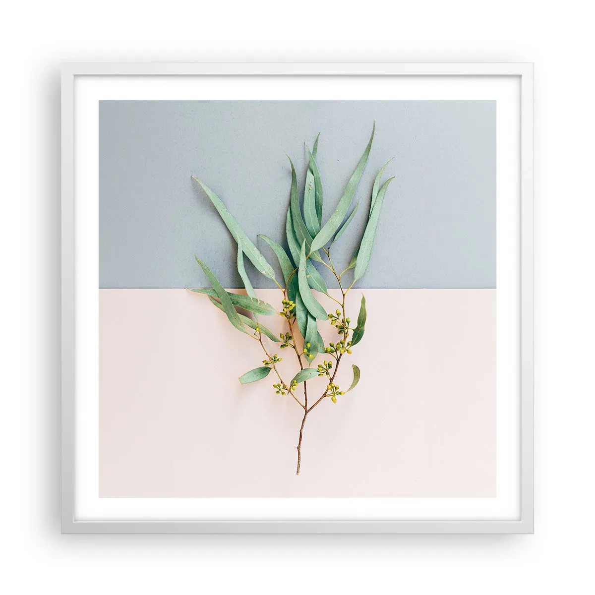 Poster in cornice bianca - Delicatezza pastello - 60x60 cm