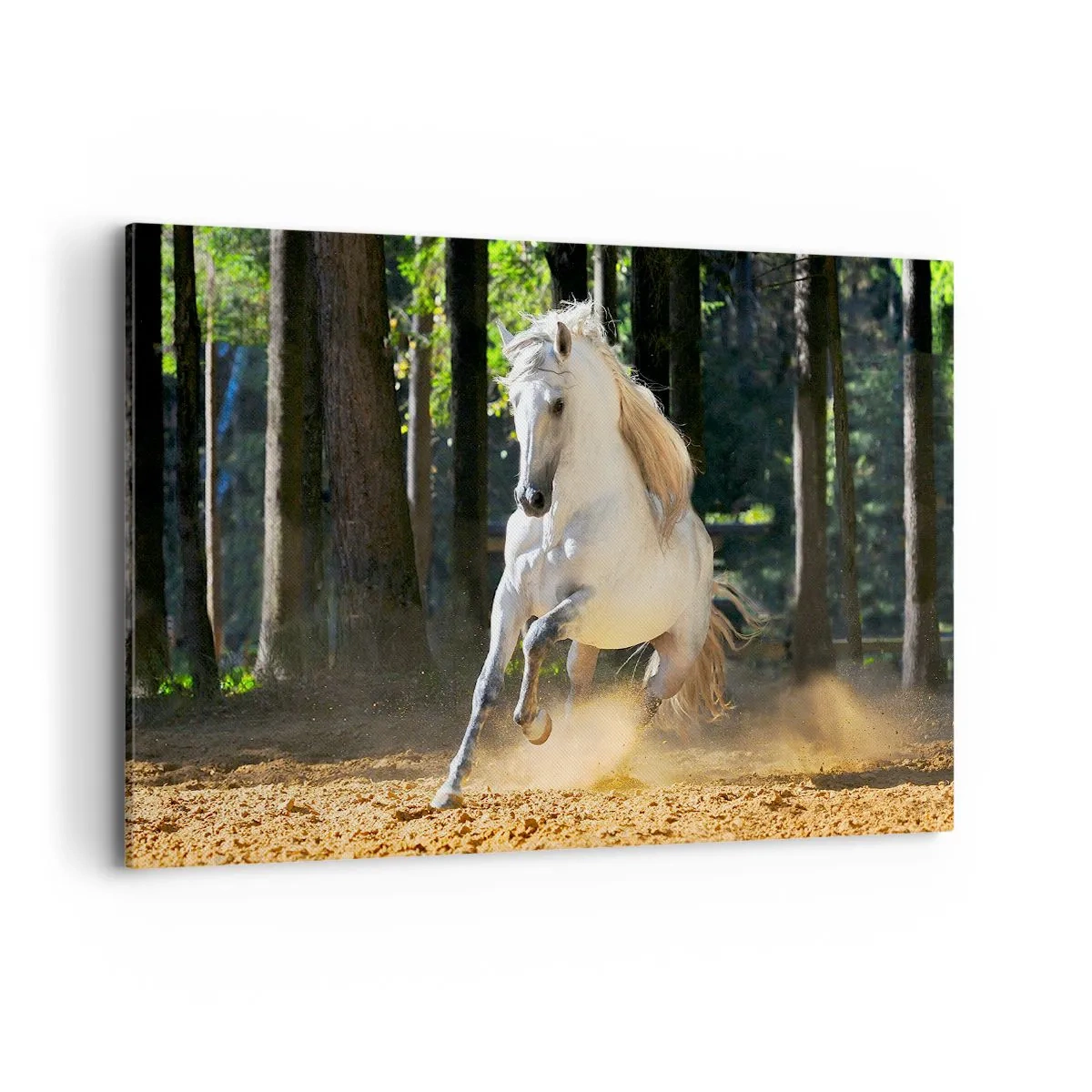 Quadro su tela - Stampe su Tela - Un cavallo bianco che galoppa attraverso una radura nella foresta - 120x80cm - Come nei racconti fantasy - Decorazione murale moderna per soggiorno e camera da letto ARTTOR