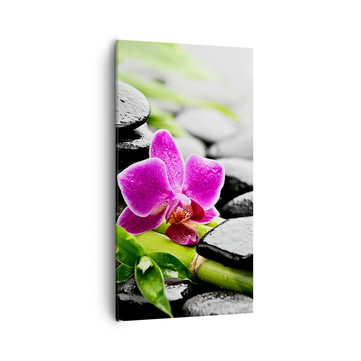 Quadro su tela - Stampe su Tela - Un tranquillo equilibrio - 55x100 cm