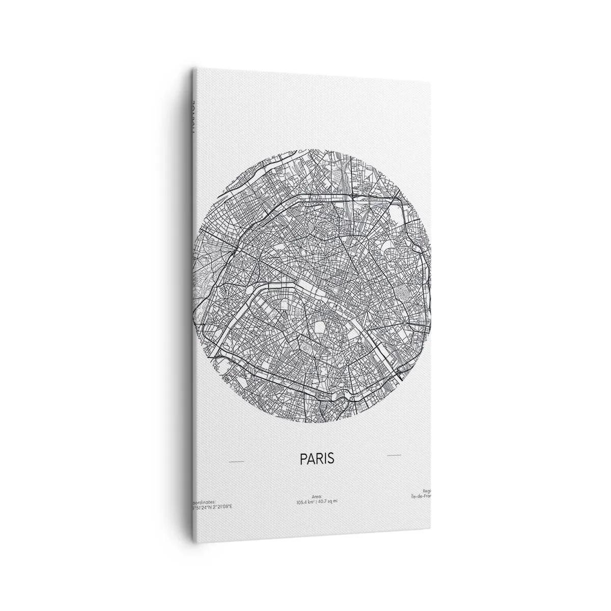 Quadro su tela - Stampe su Tela - Anatomia di Parigi - 45x80 cm