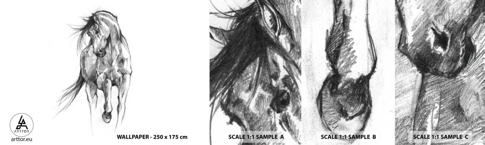 Campione di Fotomurale Adesivo Deluxe Sticker - Trotto aggraziato - Cavallo, Grafica, Animali - 100x30 cm