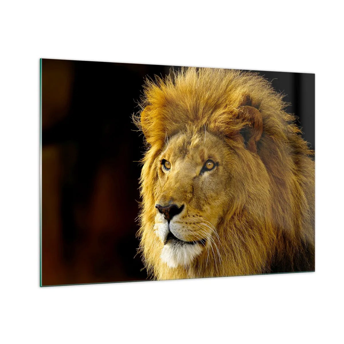 Quadro su vetro - Ritratto di un maestoso leone su uno sfondo scuro - 100x70cm - Ritratto del re - Decorazione murale moderna per soggiorno e camera da letto ARTTOR