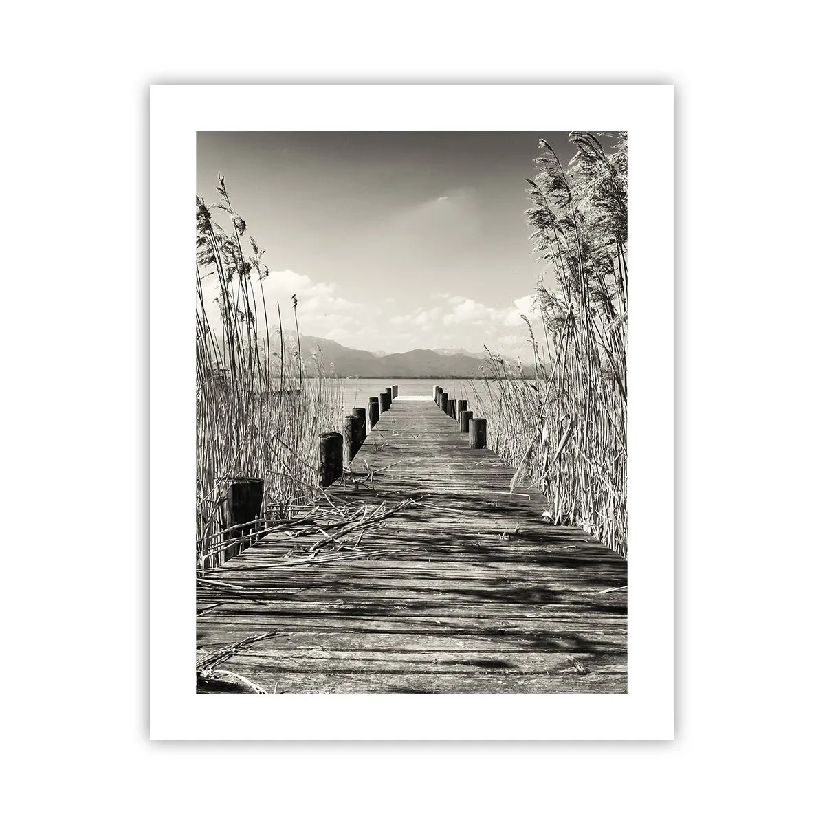 Poster - Nel silenzio dell'erba - 40x50 cm