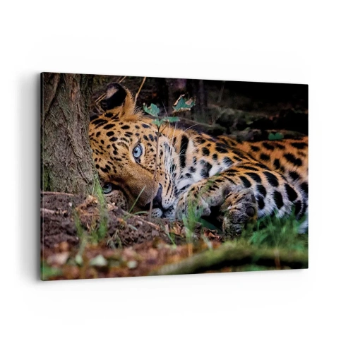 Quadro su tela - Stampe su Tela - Un leopardo sdraiato all'ombra degli alberi - 120x80cm - Fidati di me - Decorazione murale moderna per soggiorno e camera da letto ARTTOR