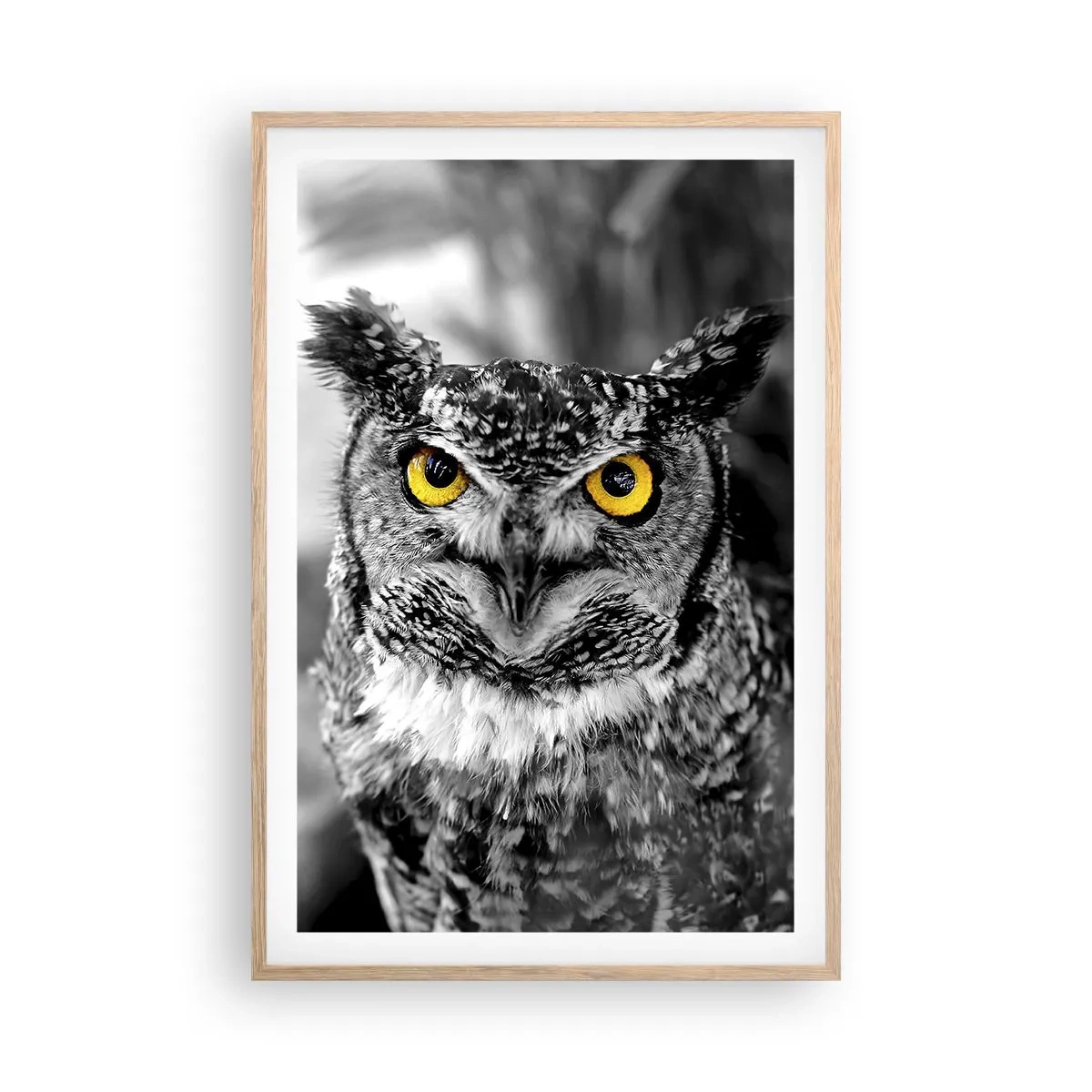 Poster in cornice rovere chiaro - Non si può nascondere niente - 61x91 cm