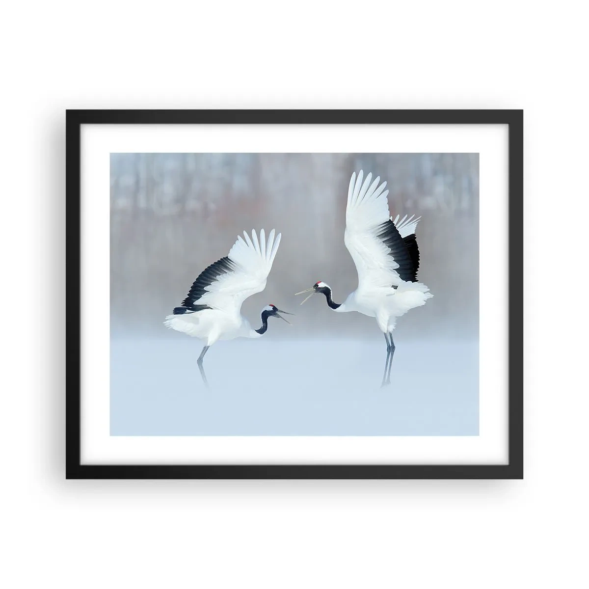 Poster in cornice nera - Danza nella nebbia - 50x40 cm