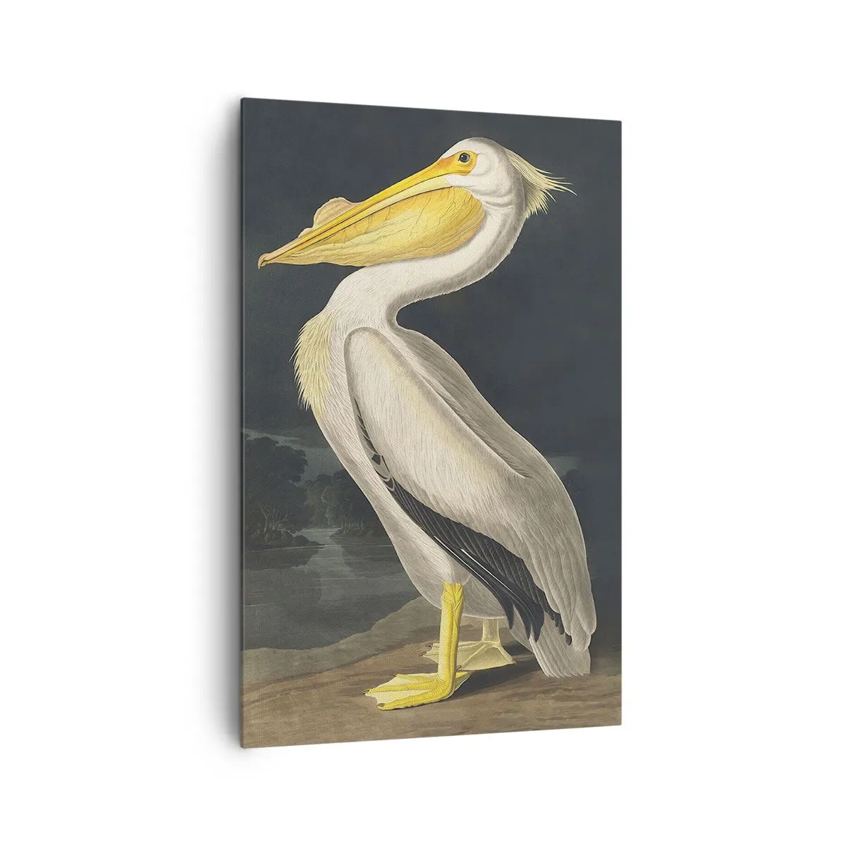 Quadro su tela - Stampe su Tela - Pieno di orgoglio - 80x120 cm