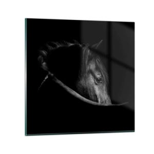 Quadro su vetro - Il principe nero - 60x60 cm