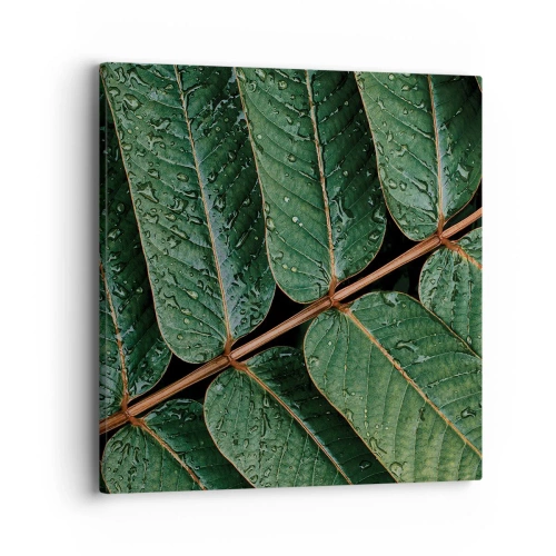 Quadro su tela - Stampe su Tela - Al ritmo verde - 40x40 cm