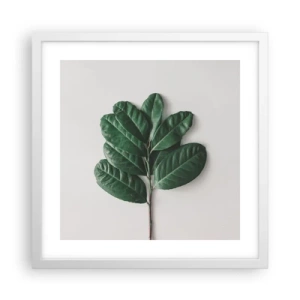 Poster in cornice bianca - Il disegno della natura stessa - 40x40 cm