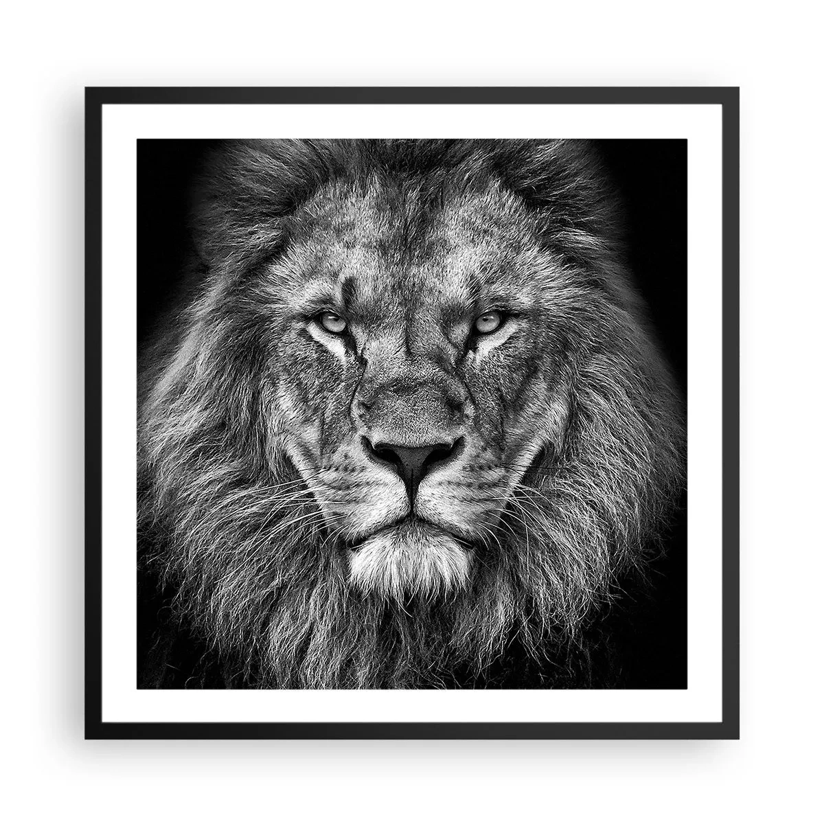 Poster in cornice nera - Nell'abito dell'incoronazione - 60x60 cm
