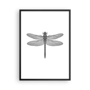 Poster in cornice nera - Illustrazione in bianco e nero di una libellula su sfondo bianco - 50x70cm - La precisione della natura - Decorazione murale moderna per soggiorno e camera da letto ARTTOR