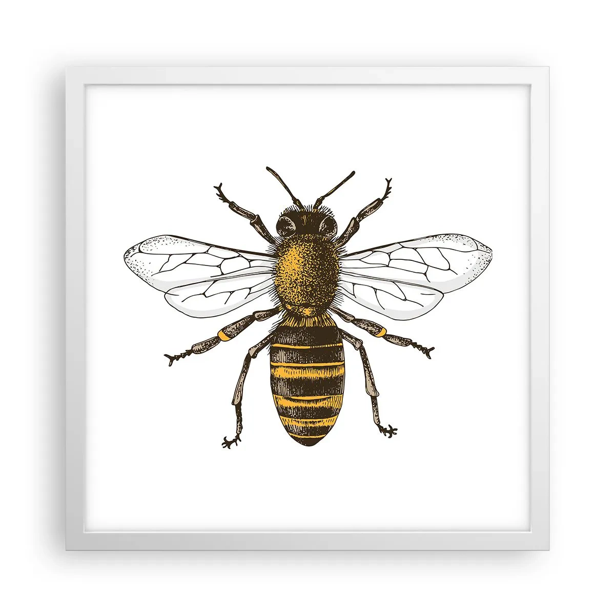 Poster in cornice bianca - Bella e buona - 40x40 cm