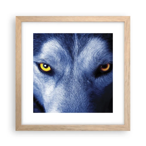 Poster in cornice rovere chiaro - Sguardo ipnotico - 30x30 cm