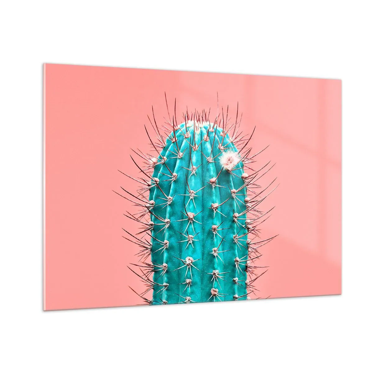 Quadro su vetro - Cactus verde con spine su sfondo rosa - 100x70cm - Stai attento - Decorazione murale moderna per soggiorno e camera da letto ARTTOR