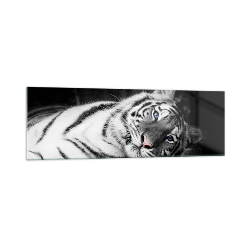 Quadro su vetro - Una tigre bianca artisticamente raffigurata su uno sfondo nero - 160x50cm - Selvaggità e pace - Decorazione murale moderna per soggiorno e camera da letto ARTTOR