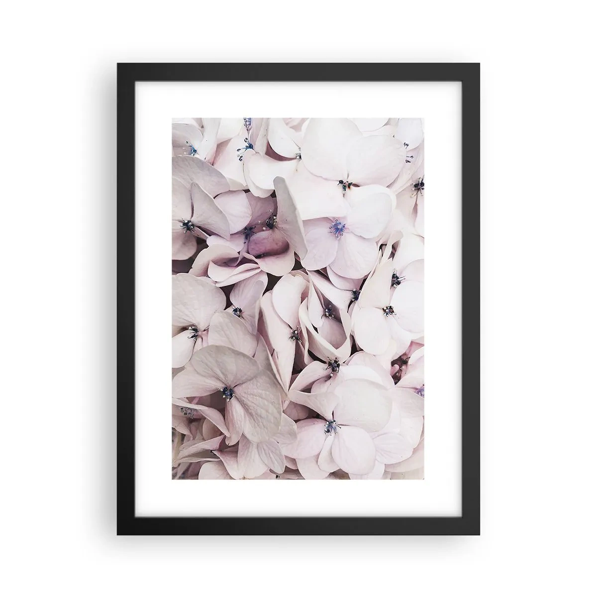 Poster in cornice nera - Un'alluvione di fiori - 30x40 cm