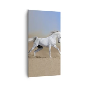 Quadro su tela - Stampe su Tela - La più bella favola araba - 65x120 cm