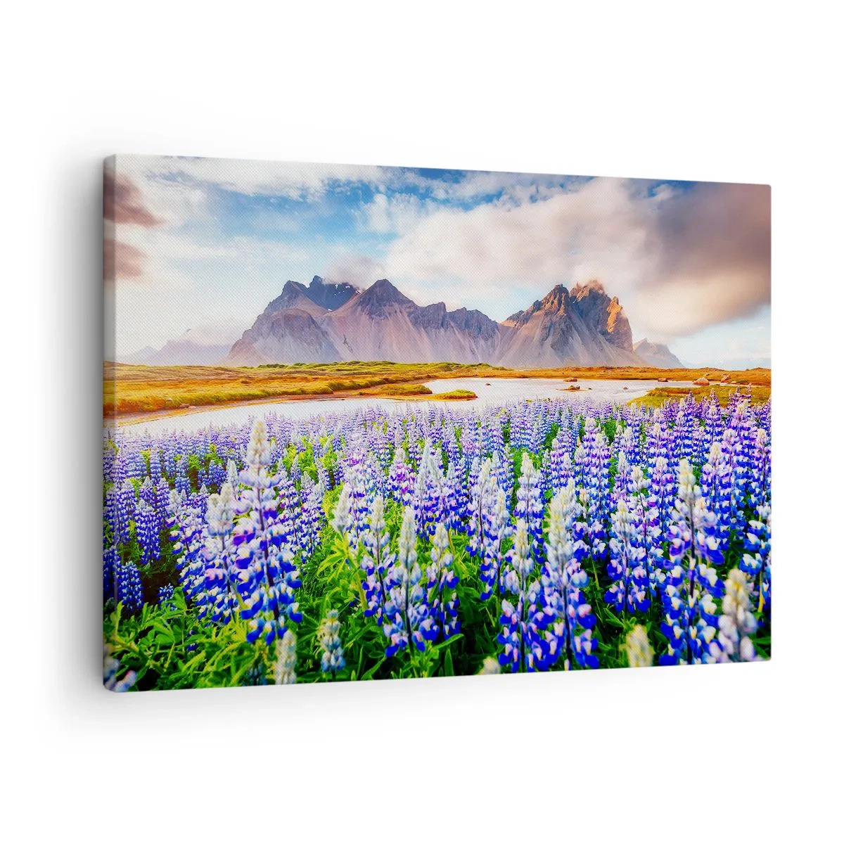 Quadro su tela - Stampe su Tela - Fiori in un paesaggio montano con un cielo pittoresco - 70x50cm - Forza e asprezza accanto alla mitezza - Decorazione murale moderna per soggiorno e camera da letto ARTTOR