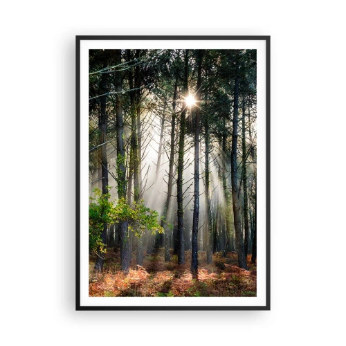 Poster in cornice nera - Zona boschiva - 70x100 cm