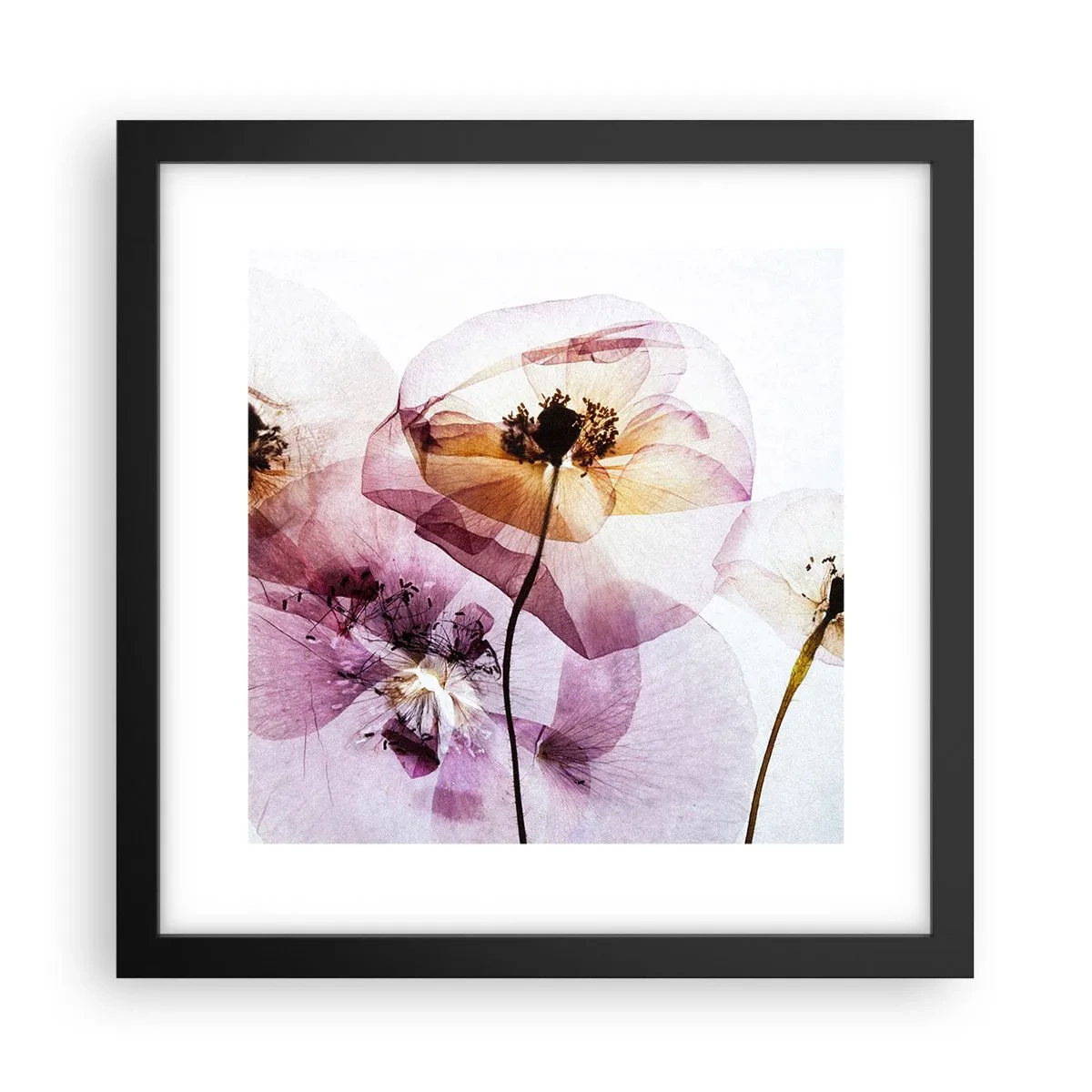 Poster in cornice nera - Fiori trasparenti - 30x30 cm