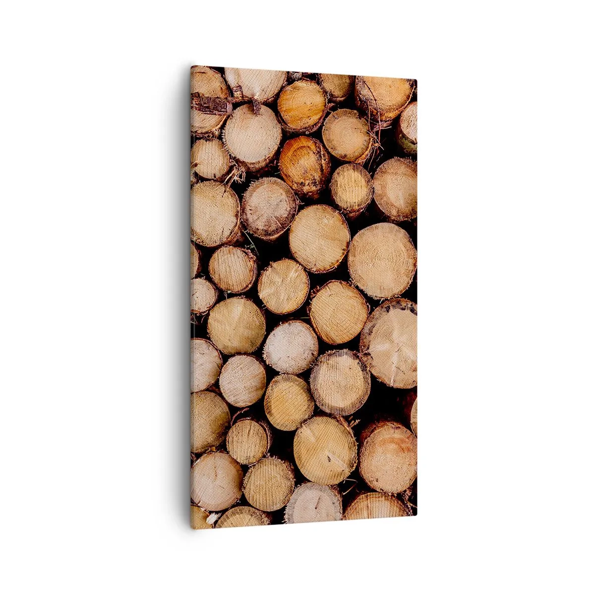 Quadro su tela - Stampe su Tela - Nuovo inizio - 55x100 cm