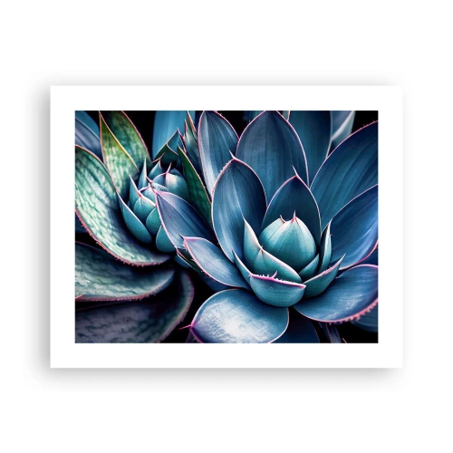 Poster - Forza vitale - 50x40 cm