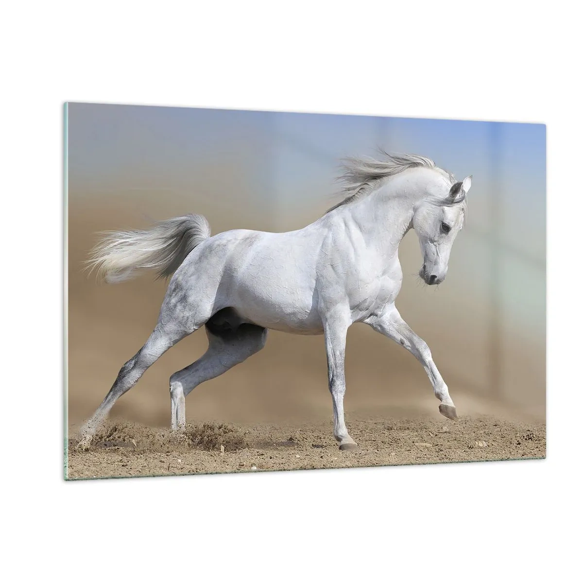 Quadro su vetro - Un cavallo bianco che galoppa sul terreno sabbioso - 120x80cm - La più bella favola araba - Decorazione murale moderna per soggiorno e camera da letto ARTTOR