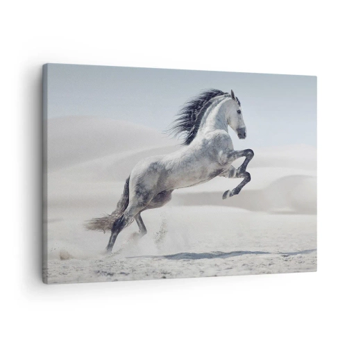 Quadro su tela - Stampe su Tela - Un cavallo bianco al galoppo sullo sfondo delle dune del deserto - 70x50cm - Il principe arabo - Decorazione murale moderna per soggiorno e camera da letto ARTTOR