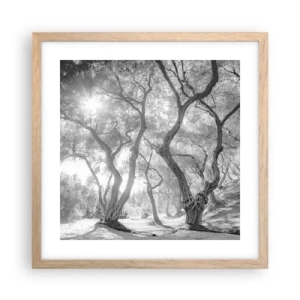 Poster in cornice rovere chiaro - Nell'orto degli ulivi - 40x40 cm