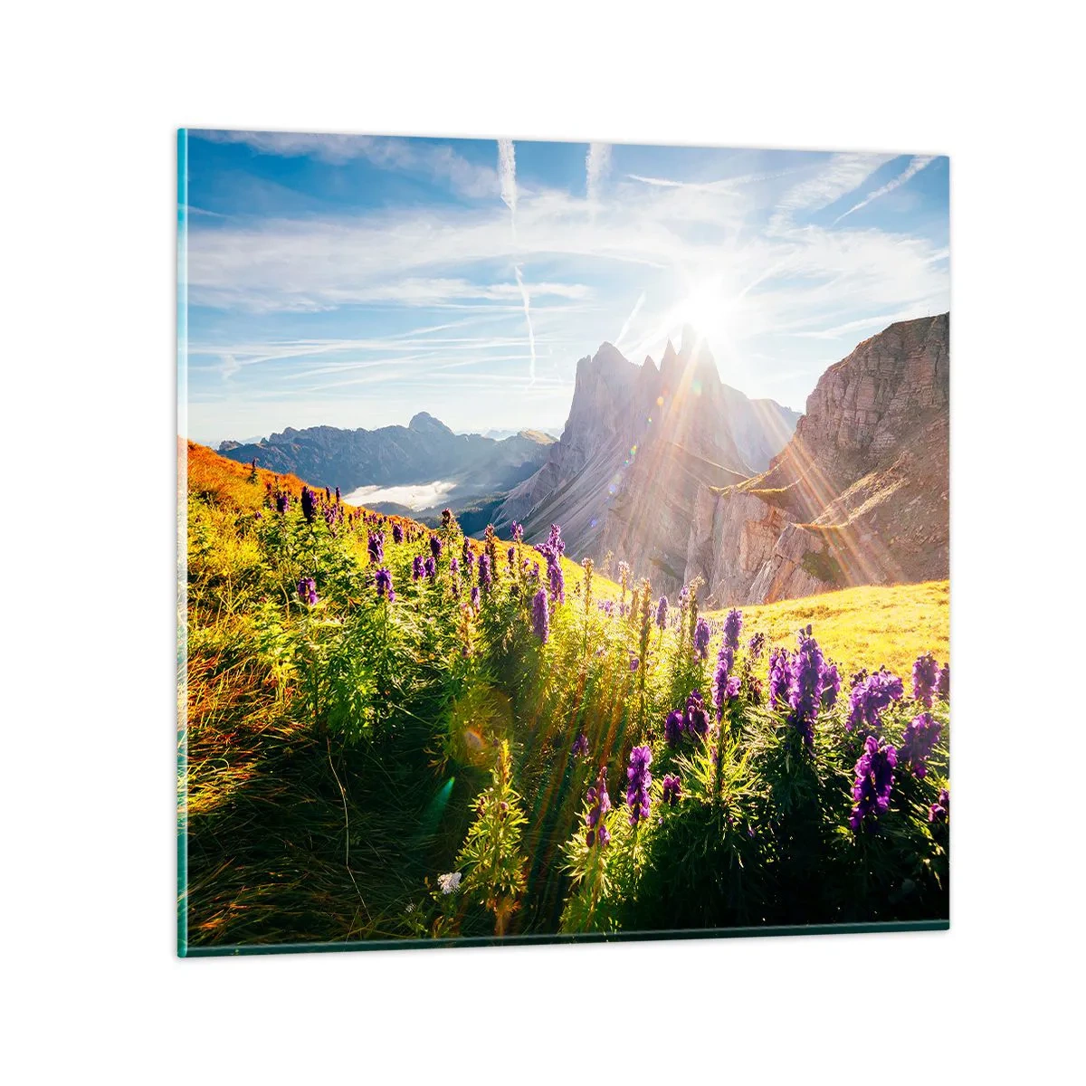 Quadro su vetro - La vita segreta delle erbe - 70x70 cm