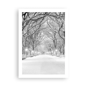 Poster - Un viale invernale di alberi coperti di neve nel parco - 50x70cm - Quattro stagioni: l'inverno - Decorazione murale moderna per soggiorno e camera da letto ARTTOR