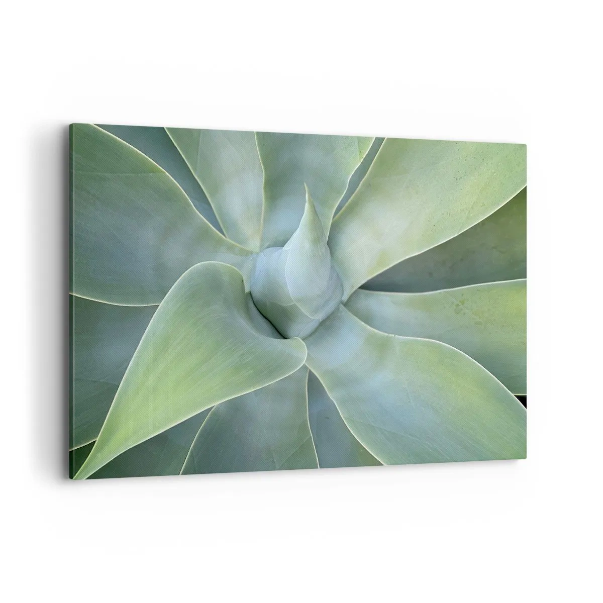 Quadro su tela - Stampe su Tela - Foglie di agave delicate in tonalità di verde - 120x80cm - La nascita del verde - Decorazione murale moderna per soggiorno e camera da letto ARTTOR