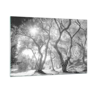 Quadro su vetro - Ulivi bianchi e neri alla luce del sole - 120x80cm - Nell'orto degli ulivi - Decorazione murale moderna per soggiorno e camera da letto ARTTOR