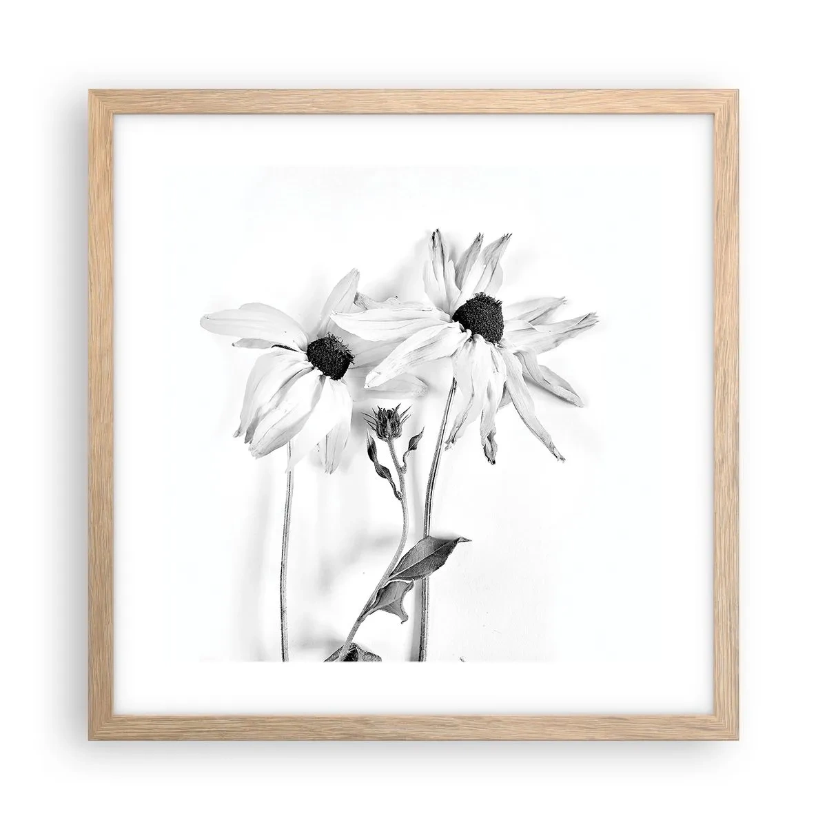 Poster in cornice rovere chiaro - Nessuno vuole essere solo - 40x40 cm