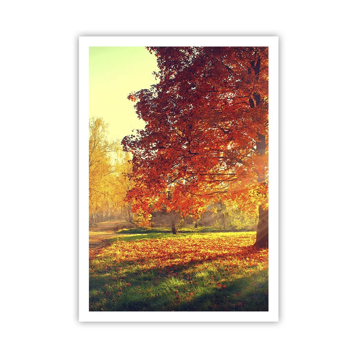 Poster - Rosso è bello - 70x100 cm